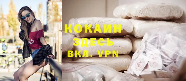 индика Армянск
