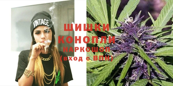 кокс Богородицк