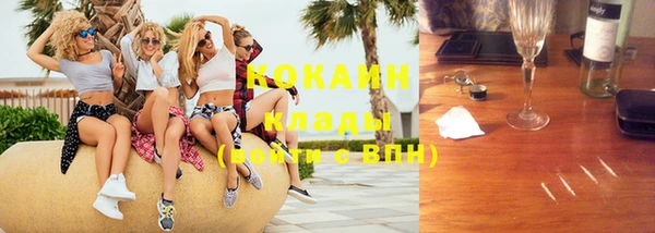 гидропоника Богданович